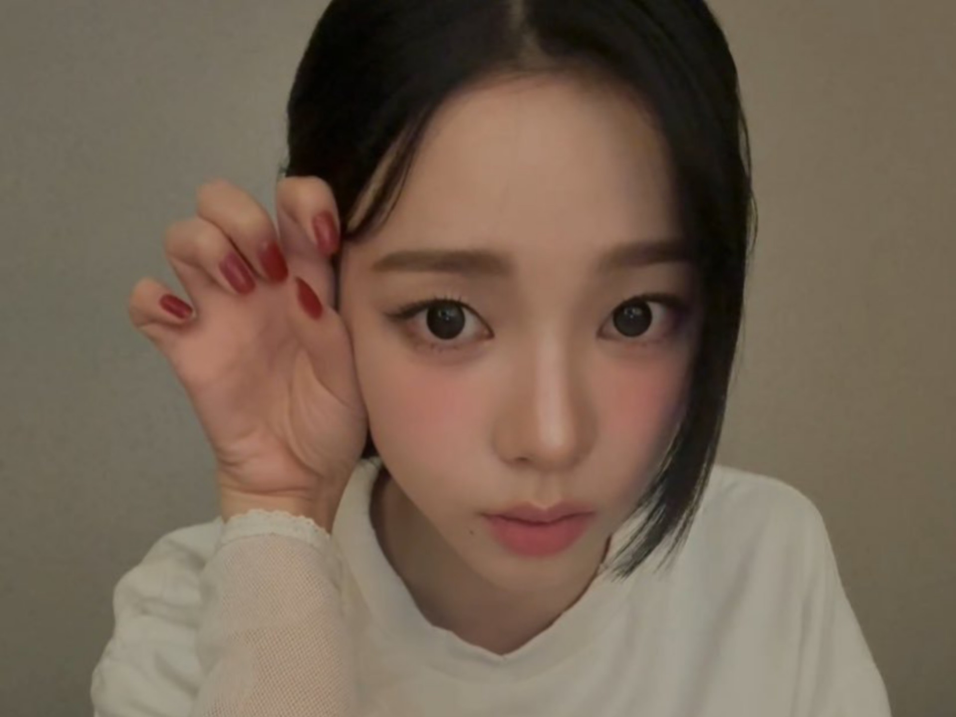 [柳智敏] 女神也是可爱小猪包