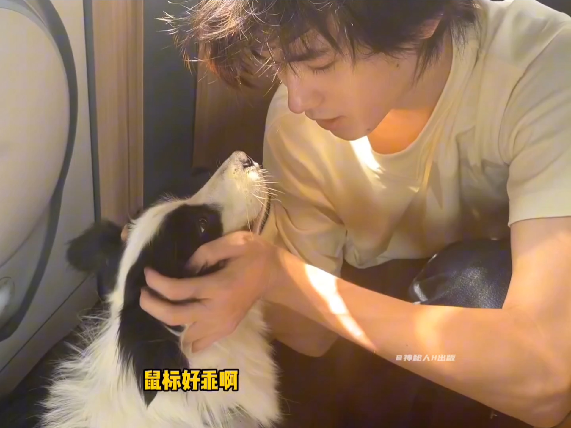 亚轩真的把鼠标养得很好 #宋亚轩 #宋亚轩的小狗狗鼠标