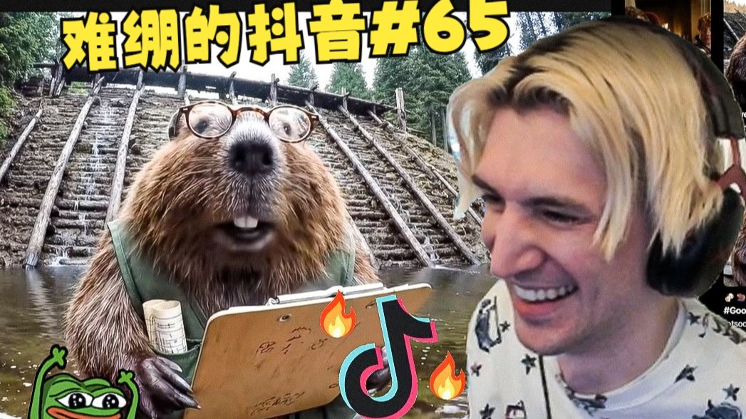 【中字】xQc看让人难绷的抖音合集#65：当恐龙要花太久时间去创