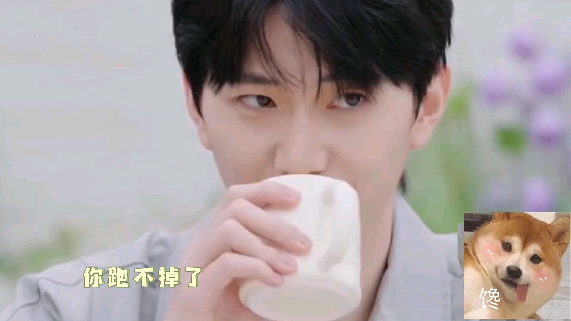 【柯乐cp】腹黑向小狗勇敢追妻