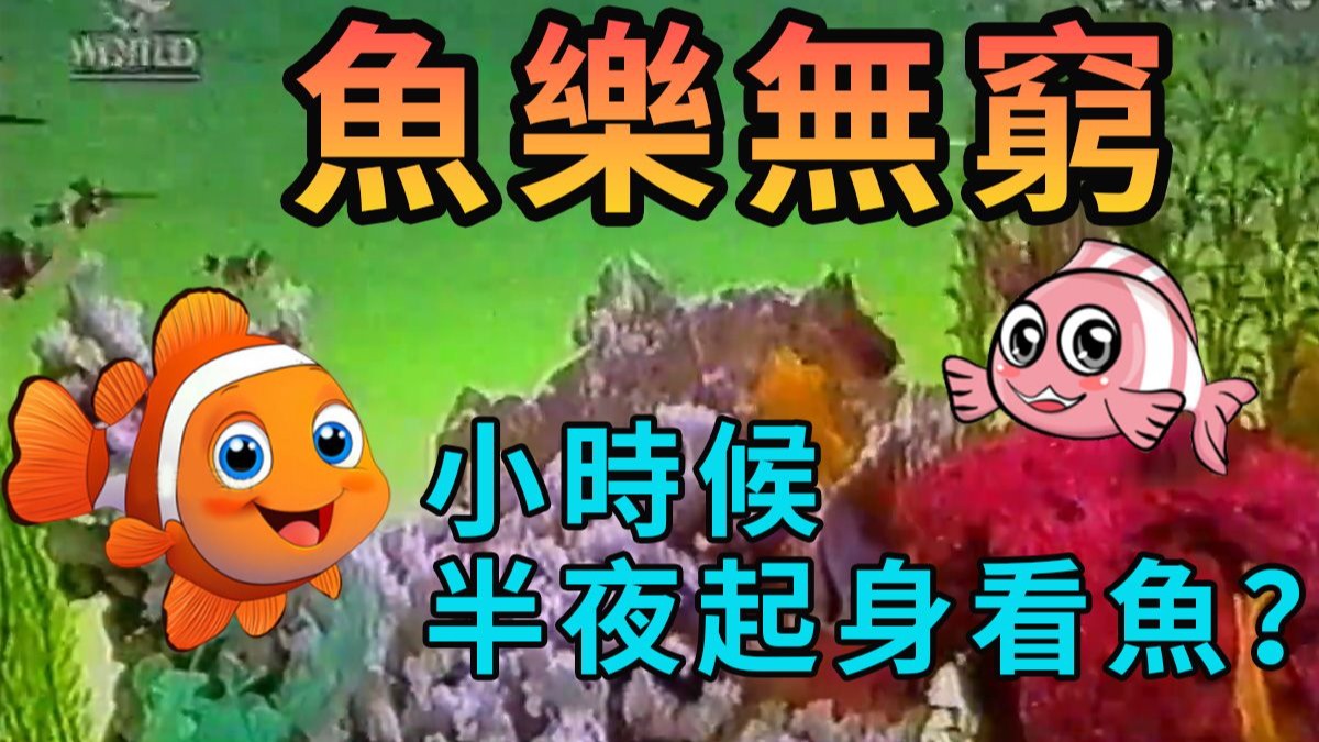 半夜三更播的《魚樂無窮》你還記得嗎？