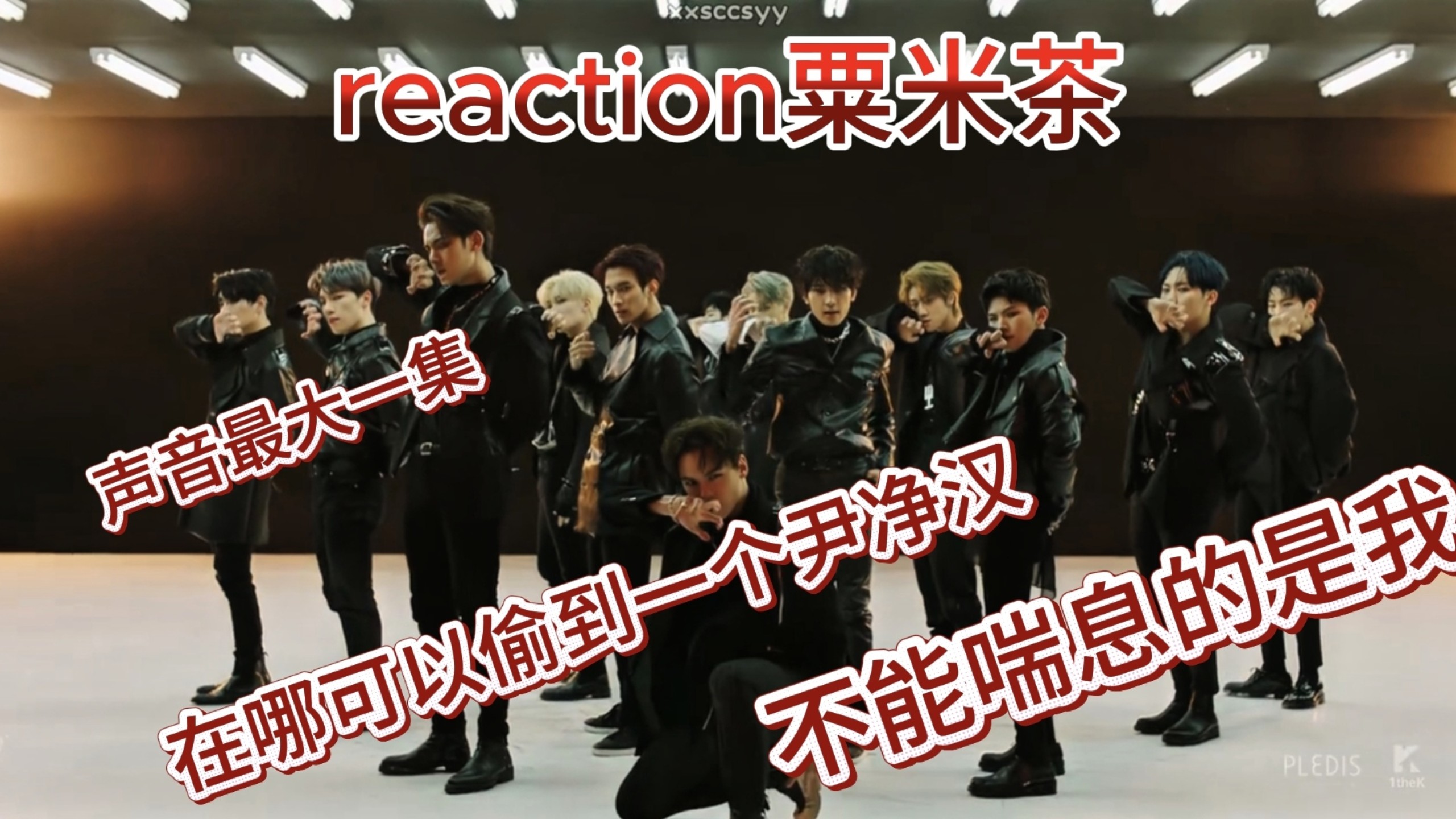 【Reaction】音综舞综常驻户第一次看seventeen粟米茶 说实话