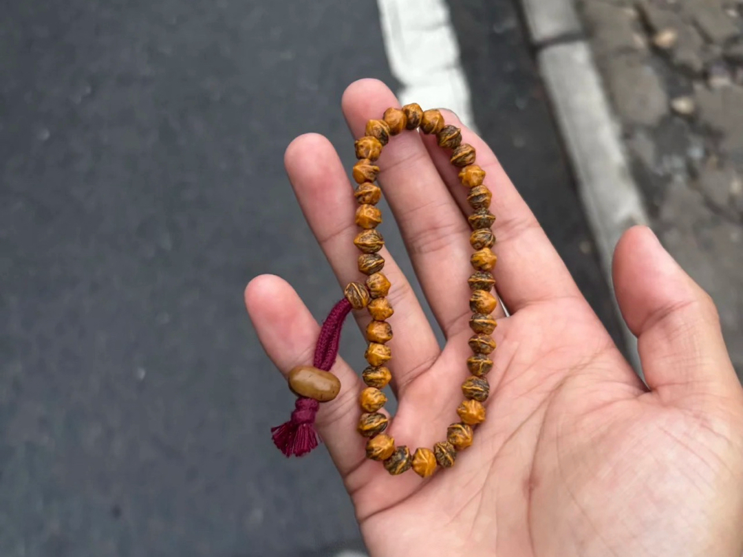感谢大家最近的关注，对于一个B站新人UP主来说，我诚惶诚恐。所