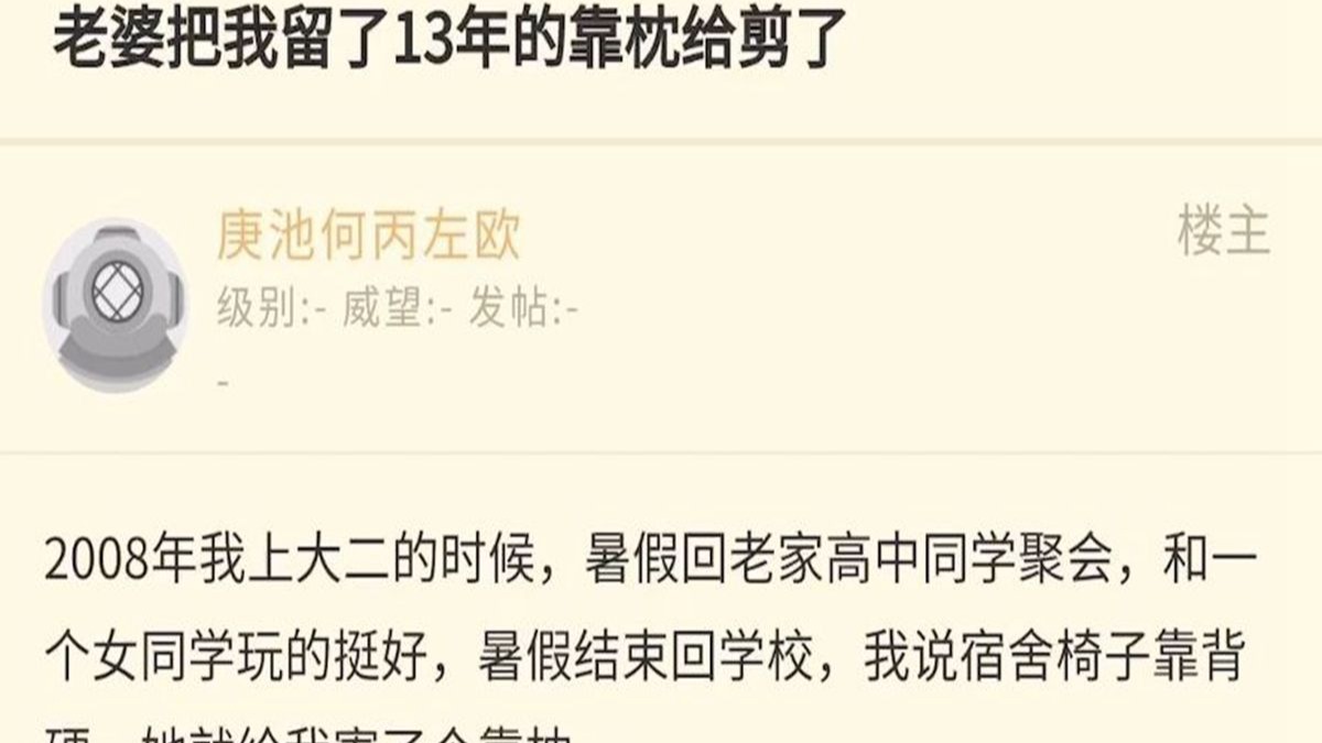 NGA今日话题 老婆把13年前初恋送我的靠枕给剪了