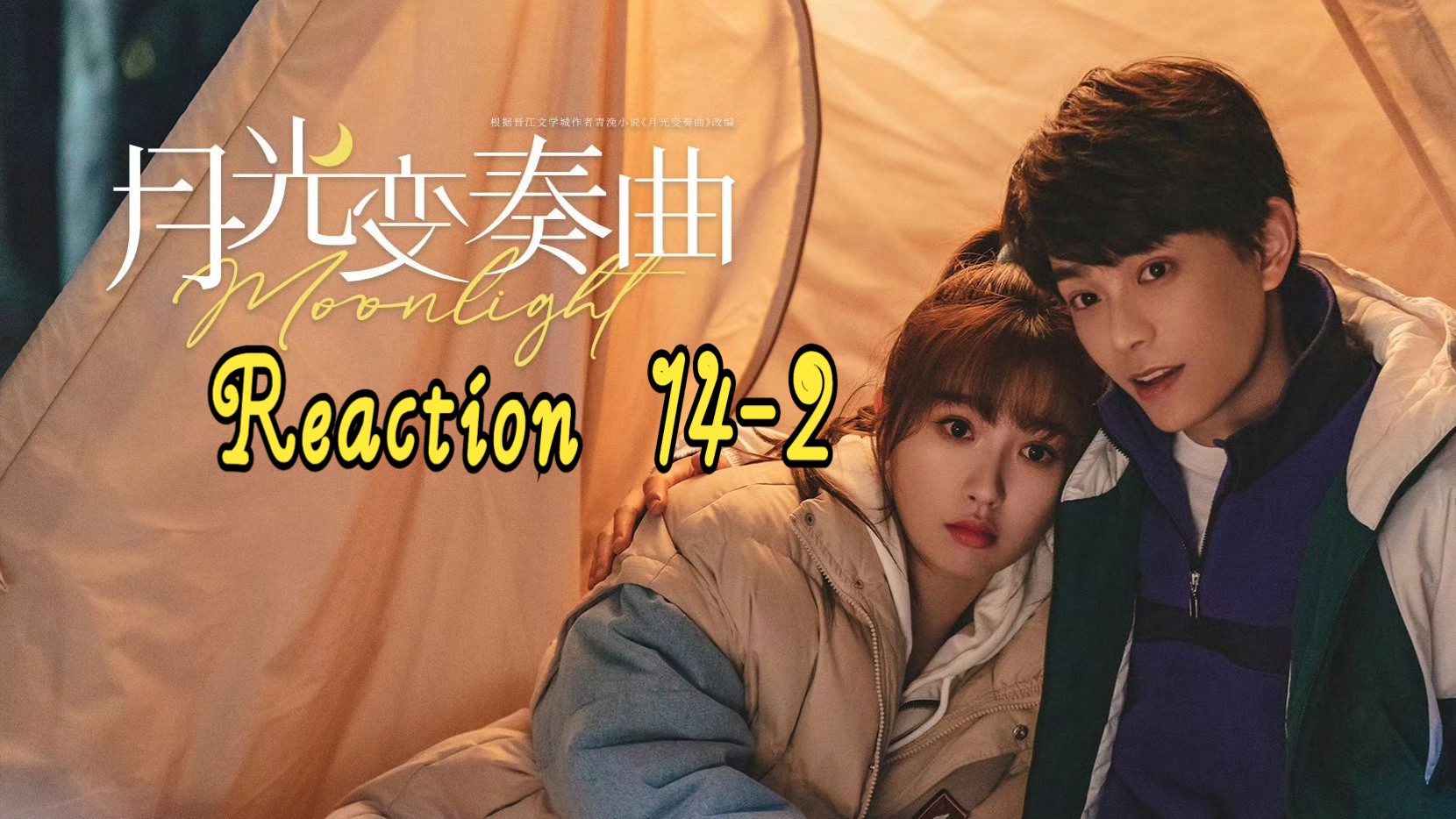 【月光变奏曲】Reaction14-2（14补11）