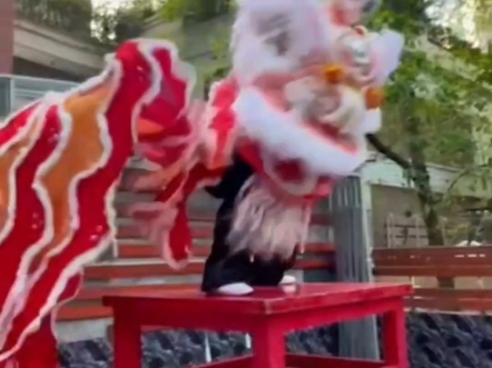一步一个脚印，努力训练