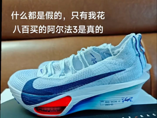 什么都是假的 只有我八百买的阿尔法是真的