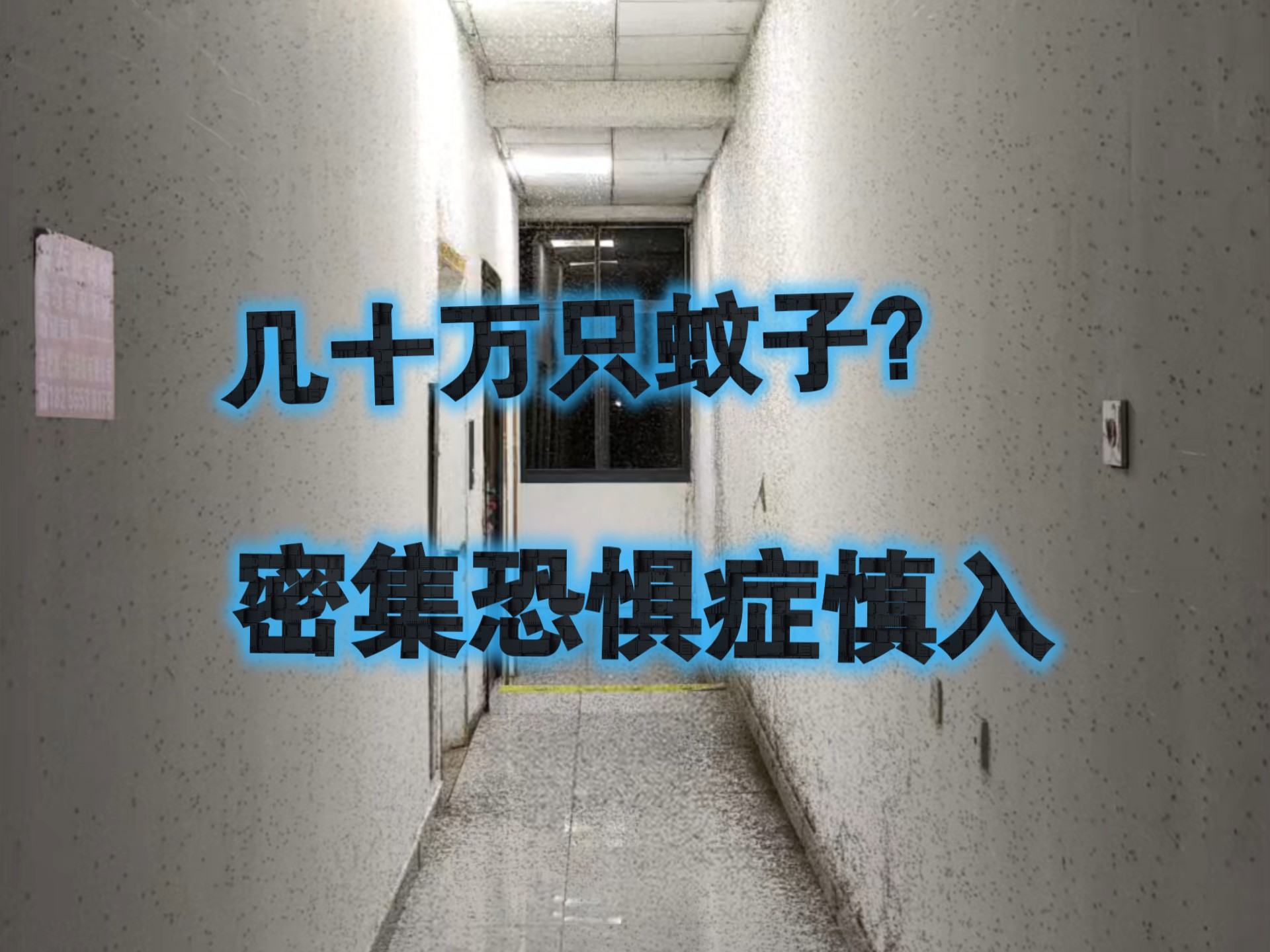 当你转身看到几十万只蚊子是什么体验？电影里也不过如此吧