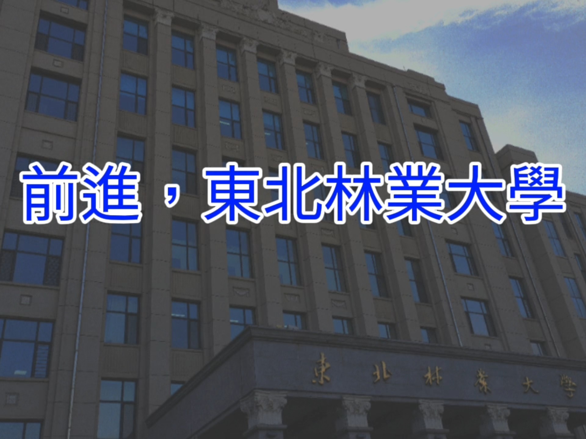 东北林业大学校歌 MV 歌词版