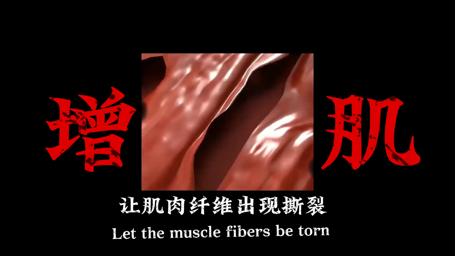 #健身 #健身