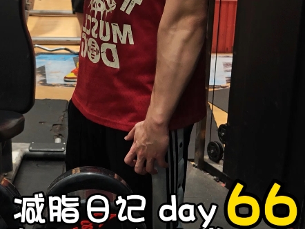 减脂日记 | 你的胸肌日必做动作是哪个? 减脂日记 | 你的胸肌日必做动作是哪个?