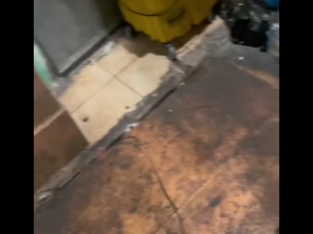 同一个错误第一次犯可能是意外，第二次就是愚蠢了，盘点各种愚蠢