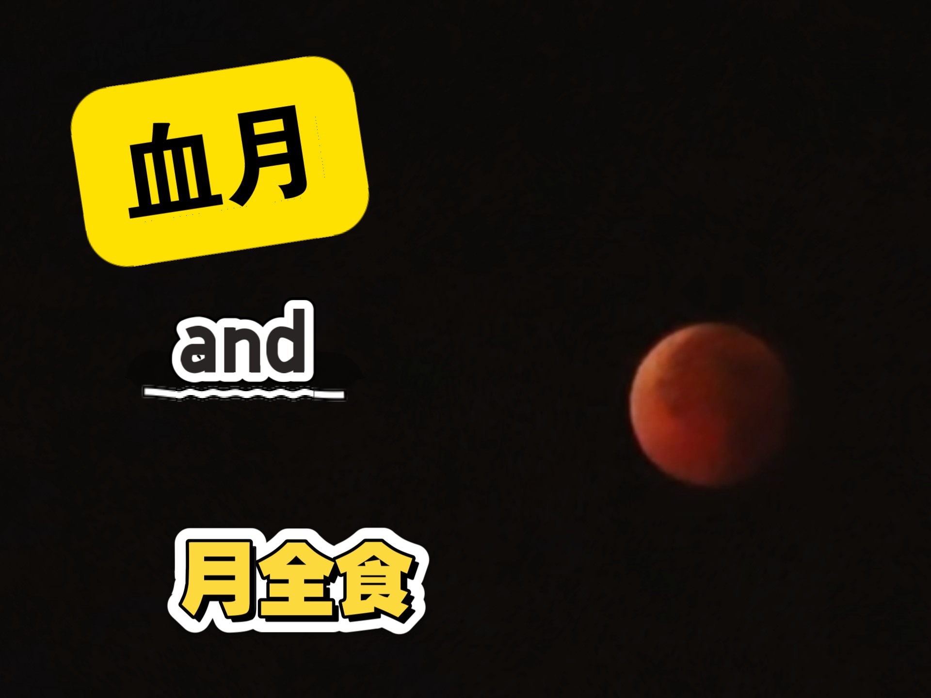 我想把今晚最美的月亮送给你 我想把今晚最美的月亮送给你