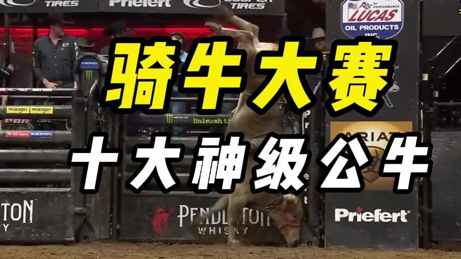 骑牛大赛 十大神级公牛，无人扶我青云志，老牛顶你去山巅！