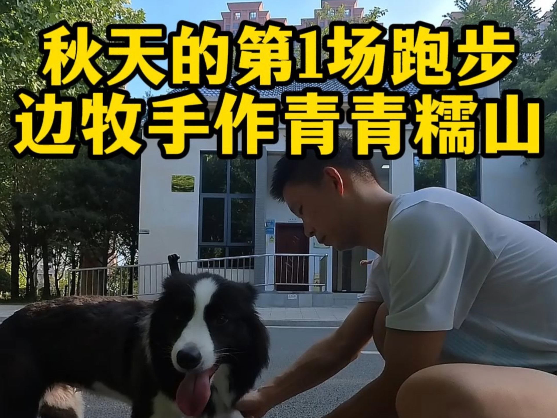 秋天的第一场跑，边牧手作青青糯山