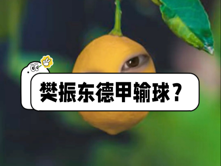 樊振东德甲开门黑，我看到了什么！