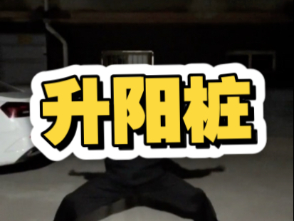 升阳的桩功#八极拳 #刘书成八极拳 #八极拳教学 #站桩