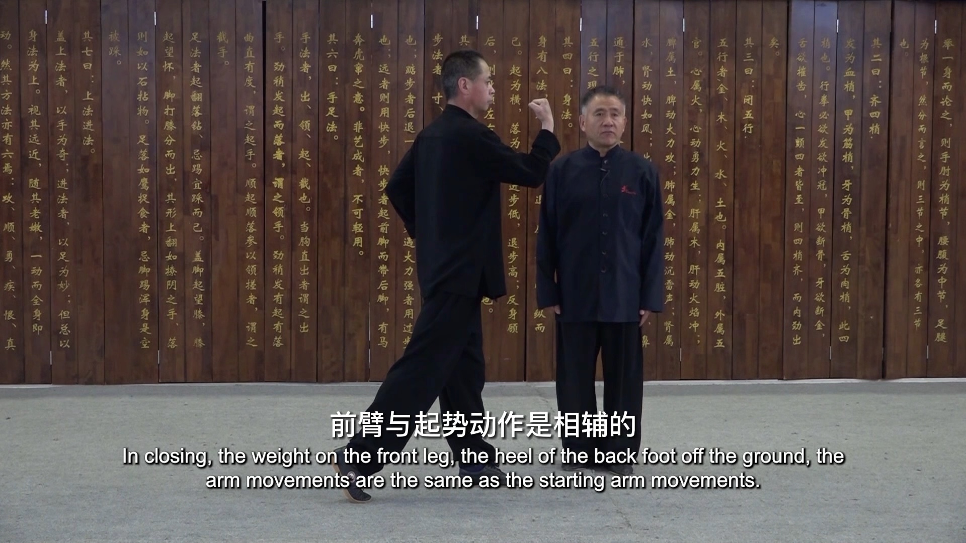 少林十八势基本功第六势正踢腿
