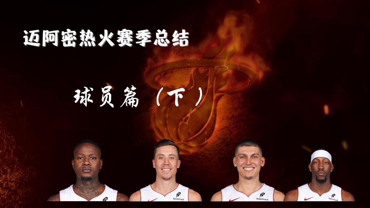 迈阿密热火赛季总结---球员篇（下）