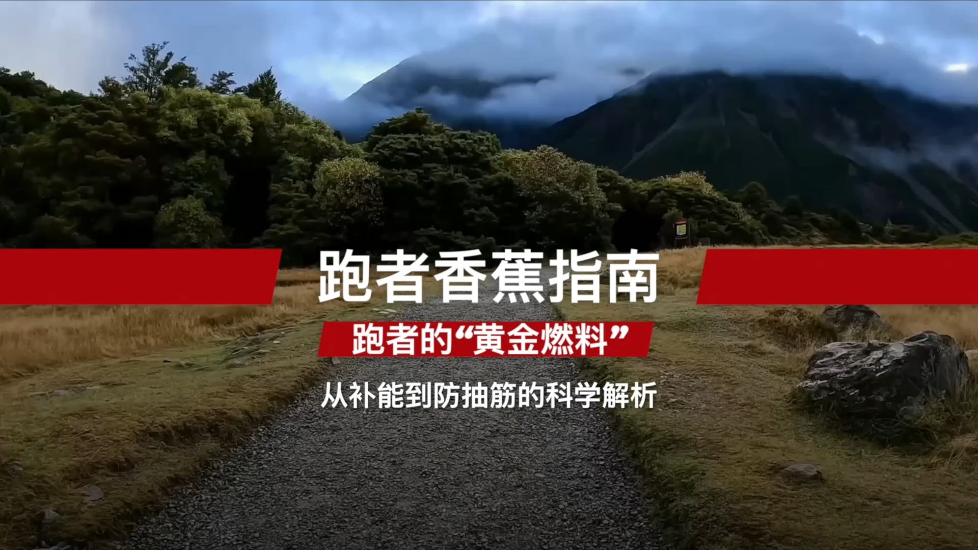 跑者香蕉指南：跑者的“黄金燃料”，从补能到防抽筋的科学解析