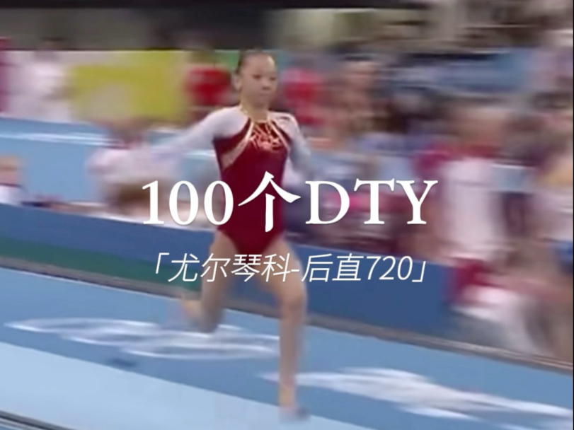 100个DTY