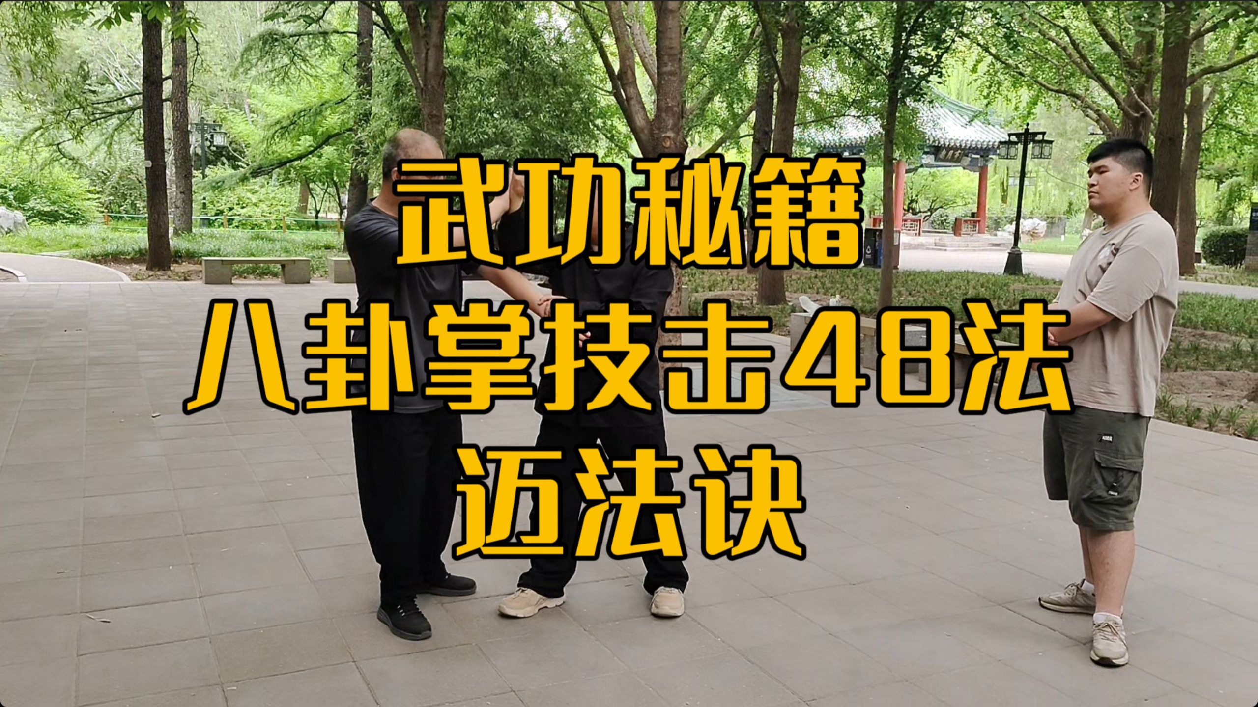 迈法诀，八卦掌步随身换的作战核心！