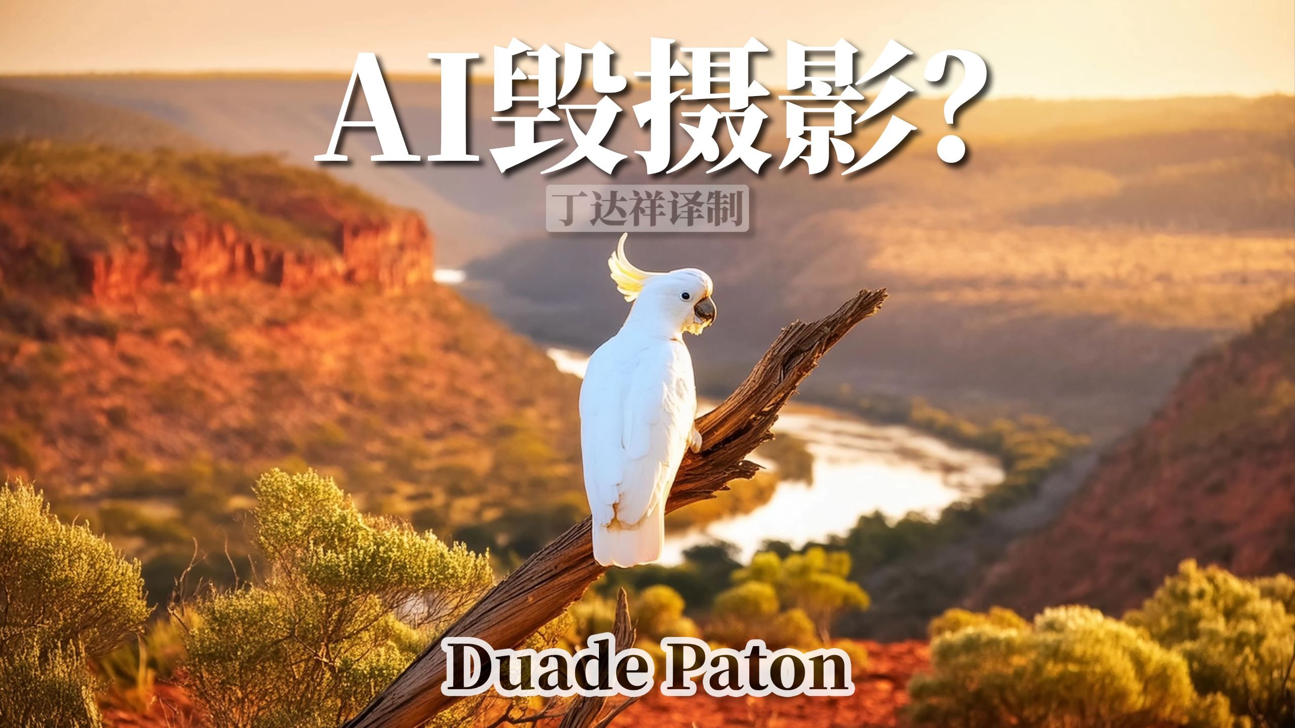 AI人工智能和科技会毁掉摄影吗?【Duade Paton】【摄影进阶热 AI人工智能和科技会毁掉摄影吗?【Duade Paton】【摄影进阶热