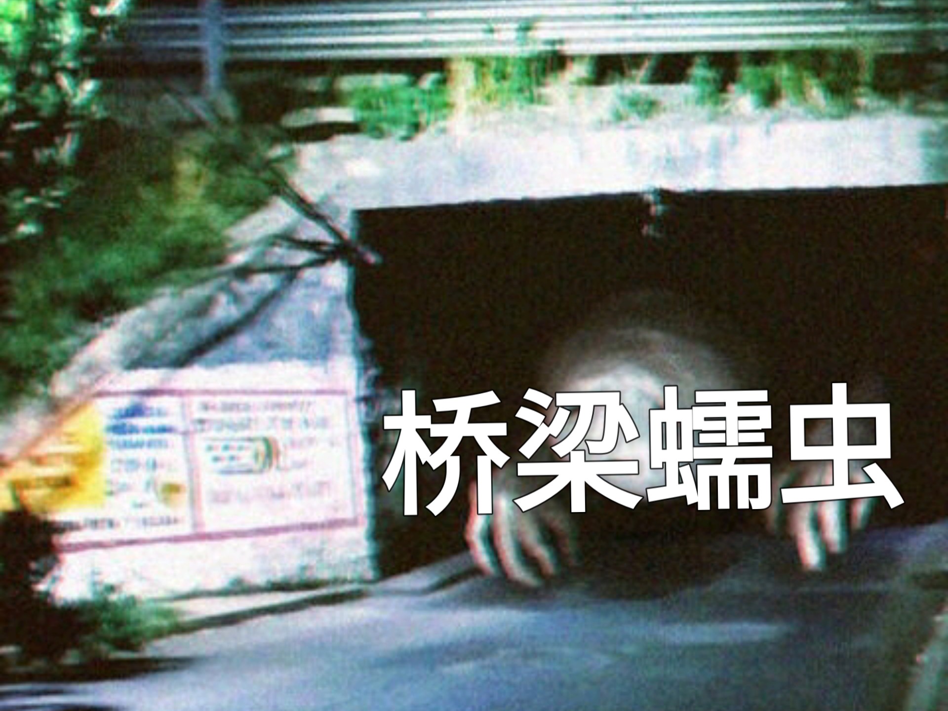 桥梁蠕虫:解析 桥梁蠕虫:解析