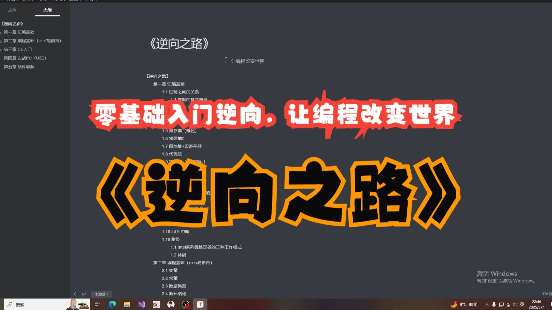 《逆向之路》