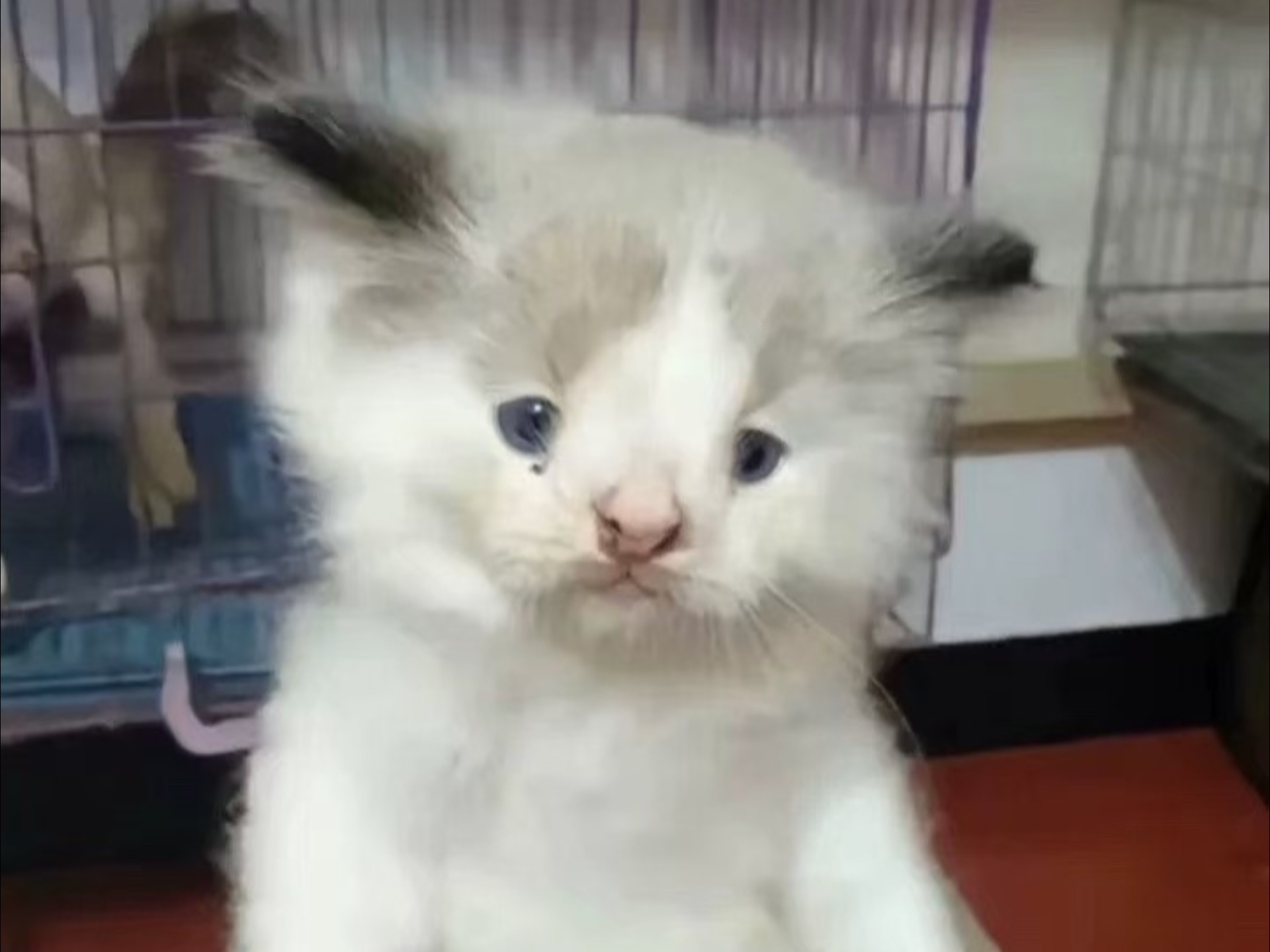 不会调音的小丑初心对于低频滚降的解释