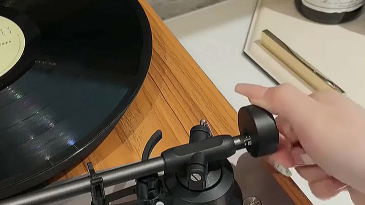 黑胶唱片机 (8129)