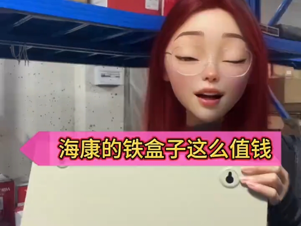 海康威视的铁盒子这么值米 海康威视的铁盒子这么值米