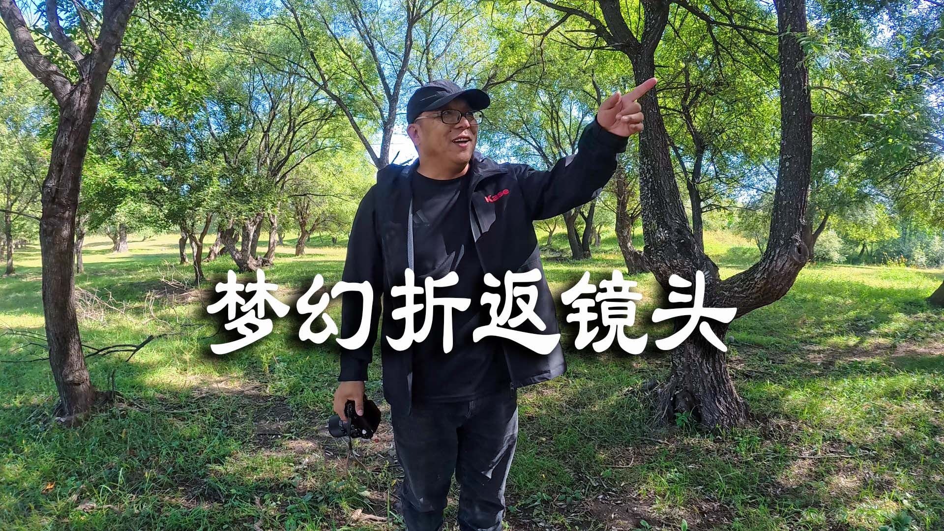 用折返镜头拍摄梦幻的甜甜圈,折返镜头能锻炼你乱中取静的技术 用折返镜头拍摄梦幻的甜甜圈,折返镜头能锻炼你乱中取静的技术