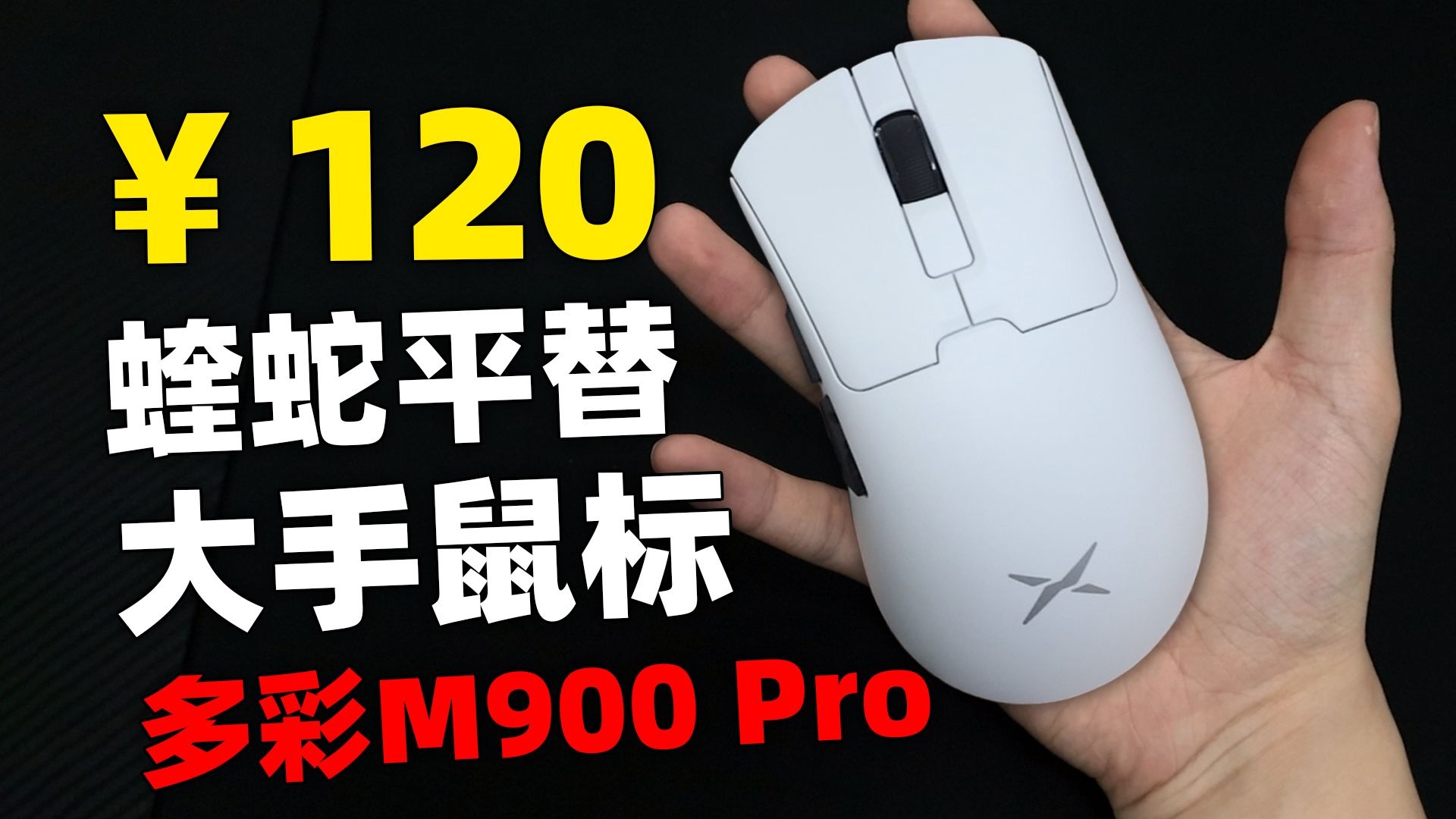 120！最便宜的大手人体工学鼠标！多彩M900 Pro超轻版值不值得入