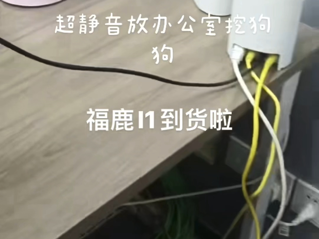 福鹿l1到货啦，超级静音，放办公室无敌