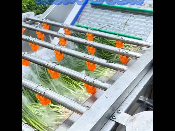小葱气泡清洗机，源头工厂，实力厂家，支持定制各种型号和尺寸，欢迎