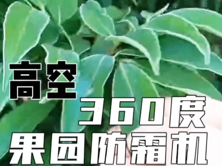 【秦风防霜机】新作上线，快来看看！