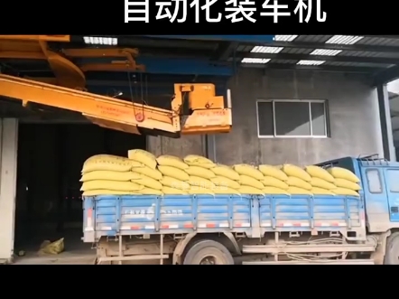自动装车机是广泛应用于有批量规格袋装、箱装包装产品，需要移
