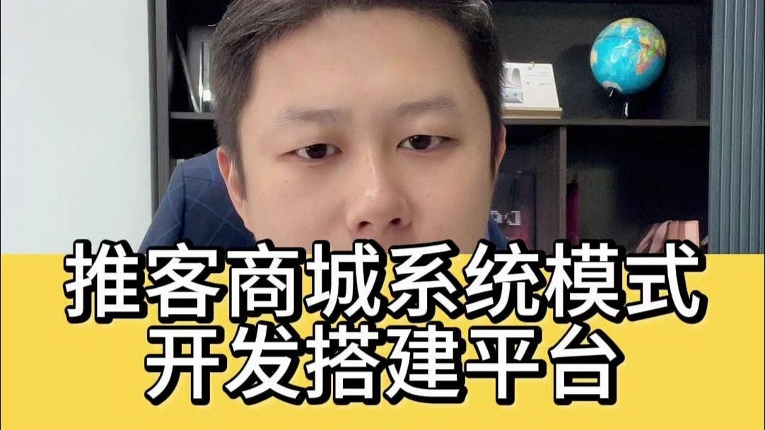 推客商城系统模式开发搭建平台