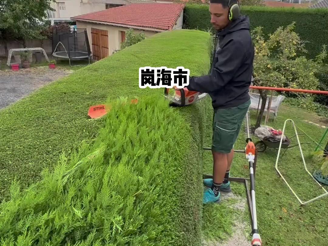 我被前妻为弟攻略了 我被前妻为弟攻略了