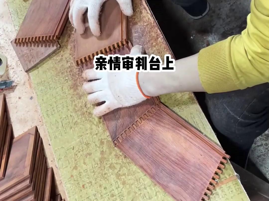 送我上审判台后偏心父母后悔了 送我上审判台后偏心父母后悔了