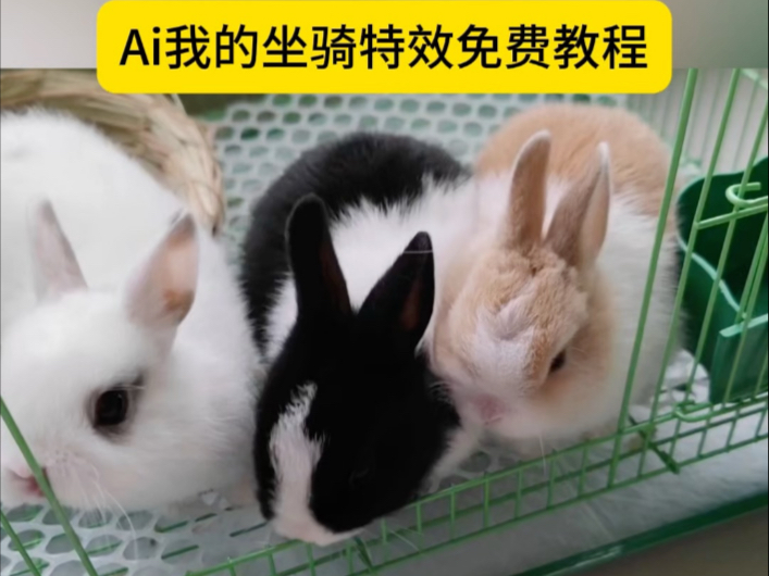 Ai一键生成我的坐骑特效免费教程 Ai一键生成我的坐骑特效免费教程