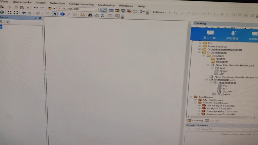 ArcGIS子类型操作
