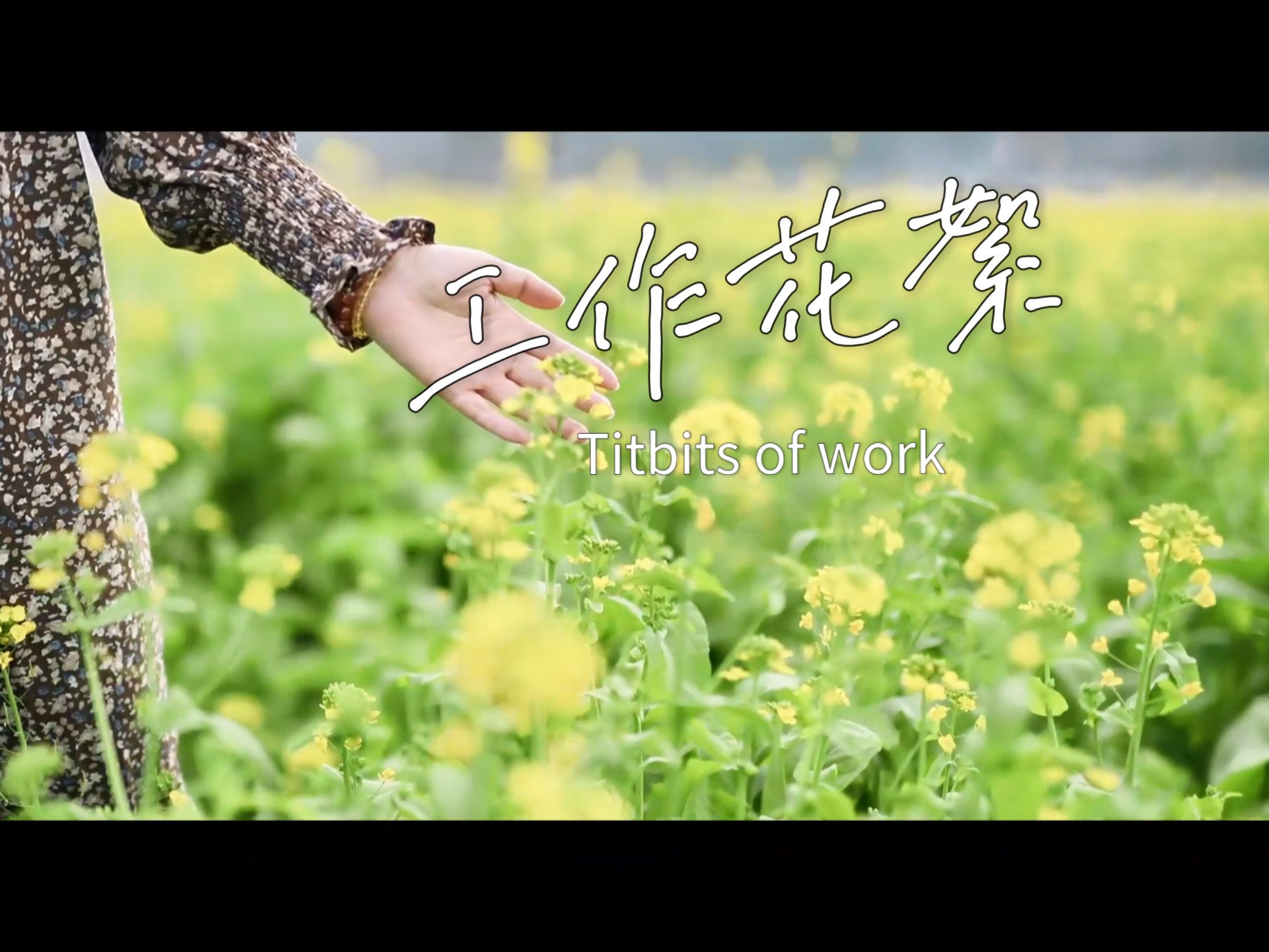 六盘水可以赏花了