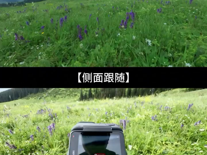 想拍《逃离世界》那种自由感视频