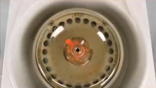 赛默飞ST16R离心机