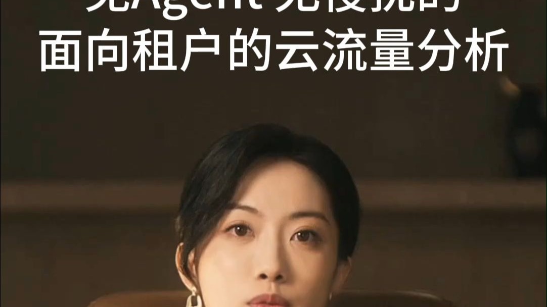 免Agent无侵扰的面向租户的云流量分析