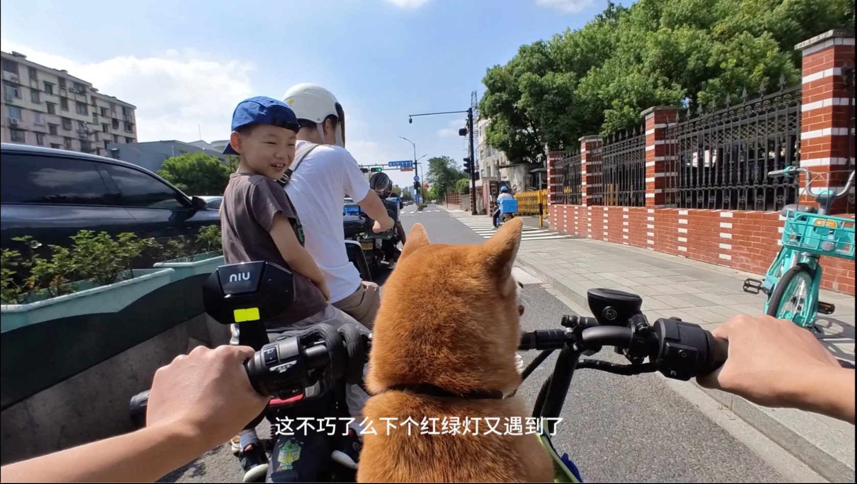 骑行路上的一些偶遇