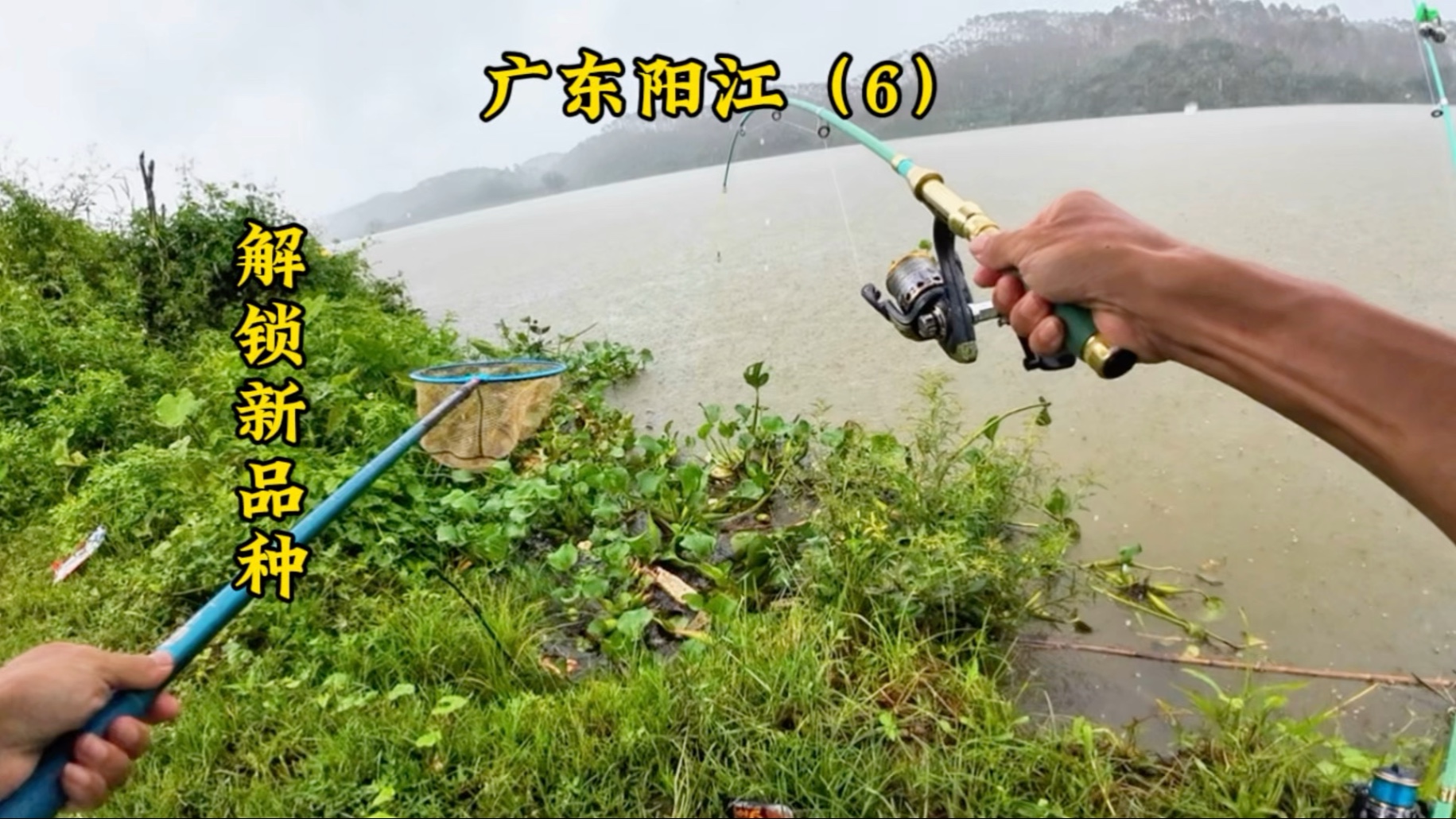 广东阳江第6天,大风大浪出大鱼? 广东阳江第6天,大风大浪出大鱼?