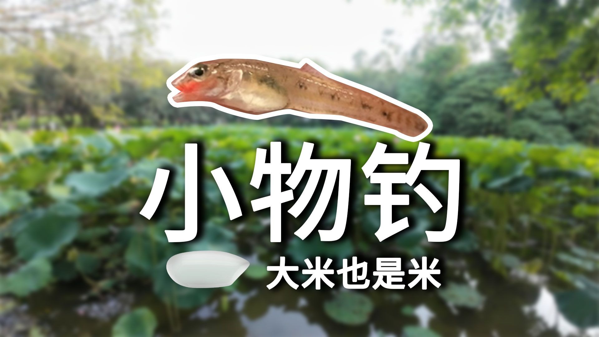 三星漂小物钓的调漂小巧